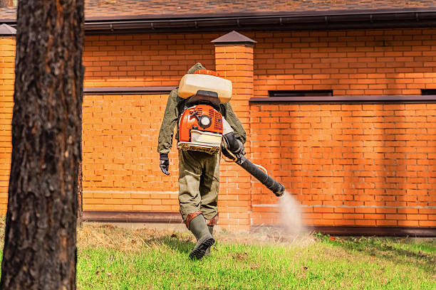 Top rated local Wasp Removal specialists in Blakely, PA